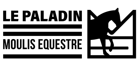 LE PALADIN LOGO FINAL-01